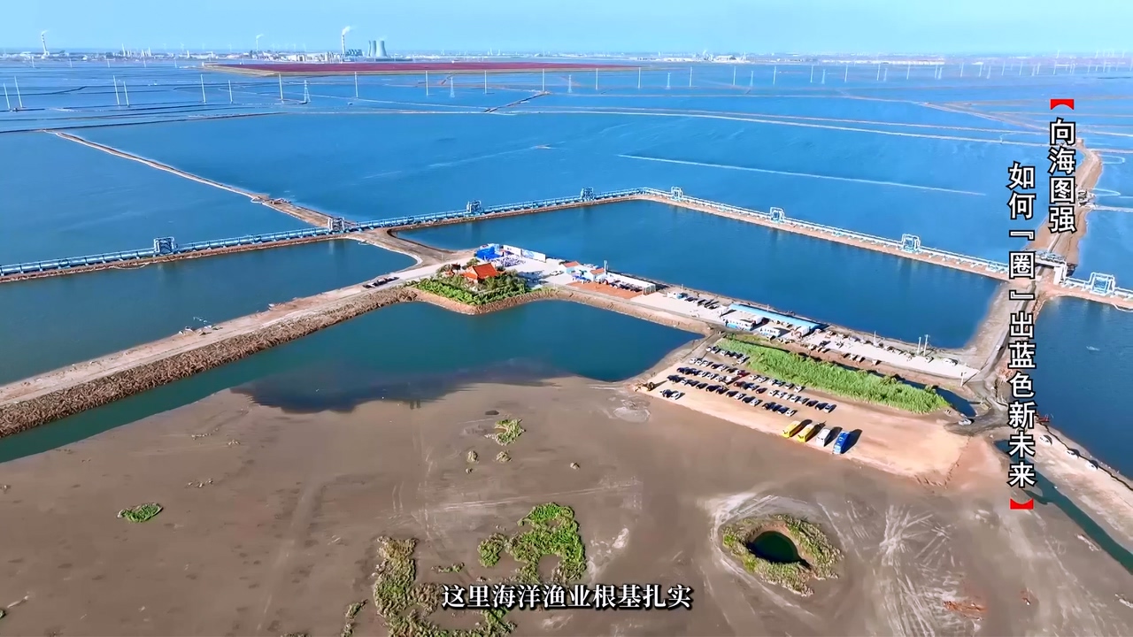 《委员关注》第81期｜向海图强 如何“圈”出蓝色新未来