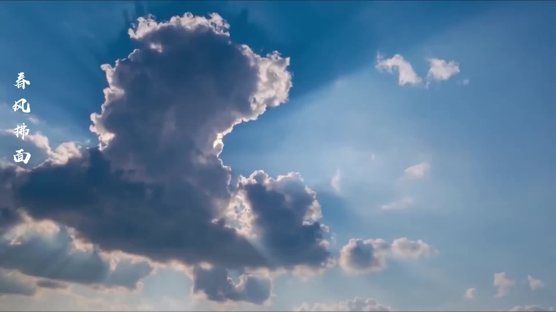 电视专题片《春风拂面》