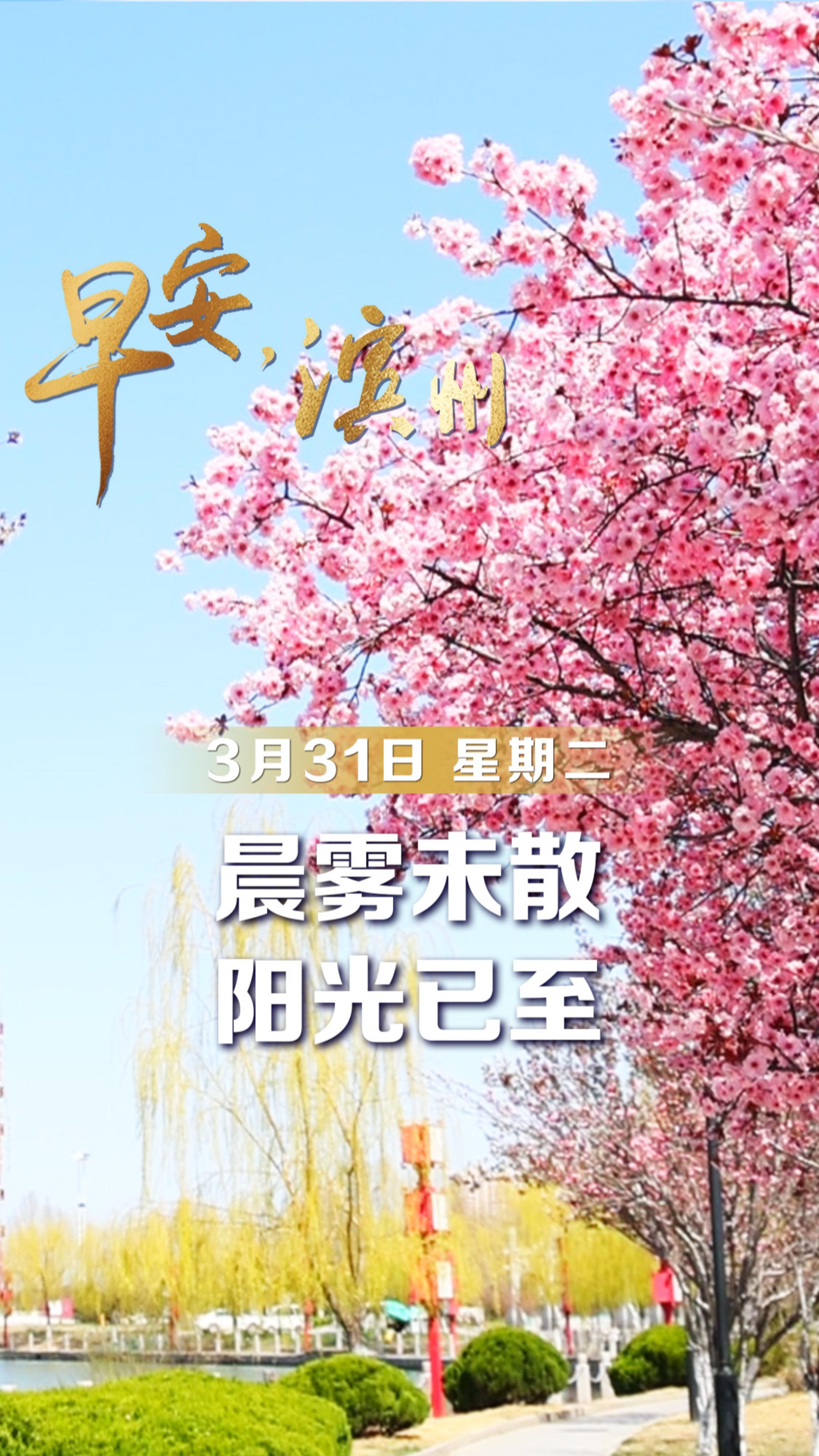 【早安】3月31日，周二，早安。晨雾未散，阳光已至。城市在鸟鸣中醒来，人间烟火次第升腾。愿你今日诸事顺遂，眼里有光。