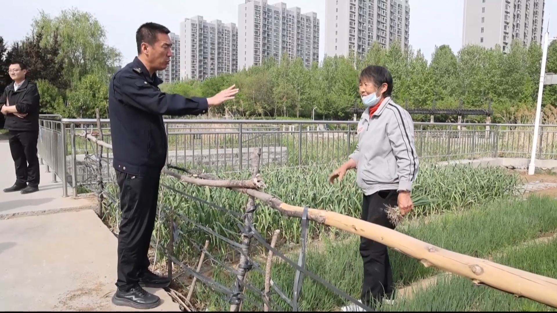 【直通12345】绿地变菜地 执法部门现场核查 