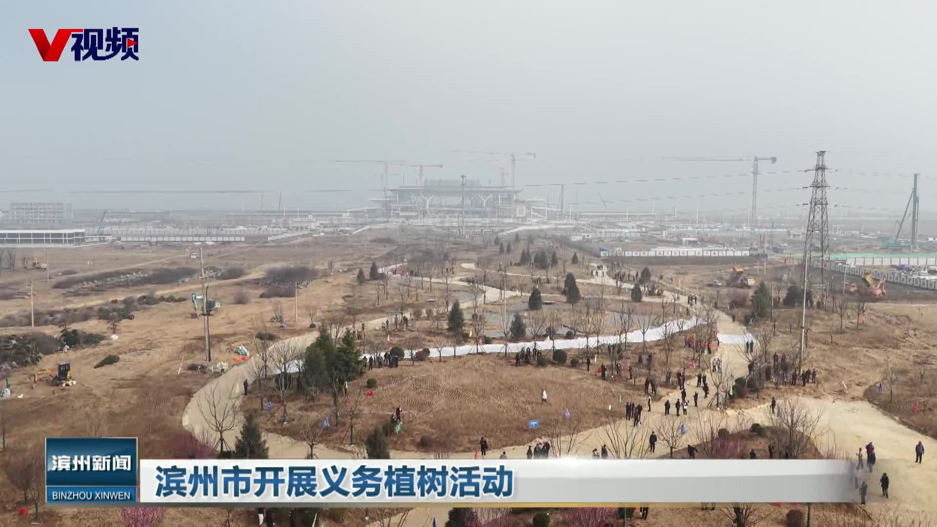 滨州市开展义务植树活动