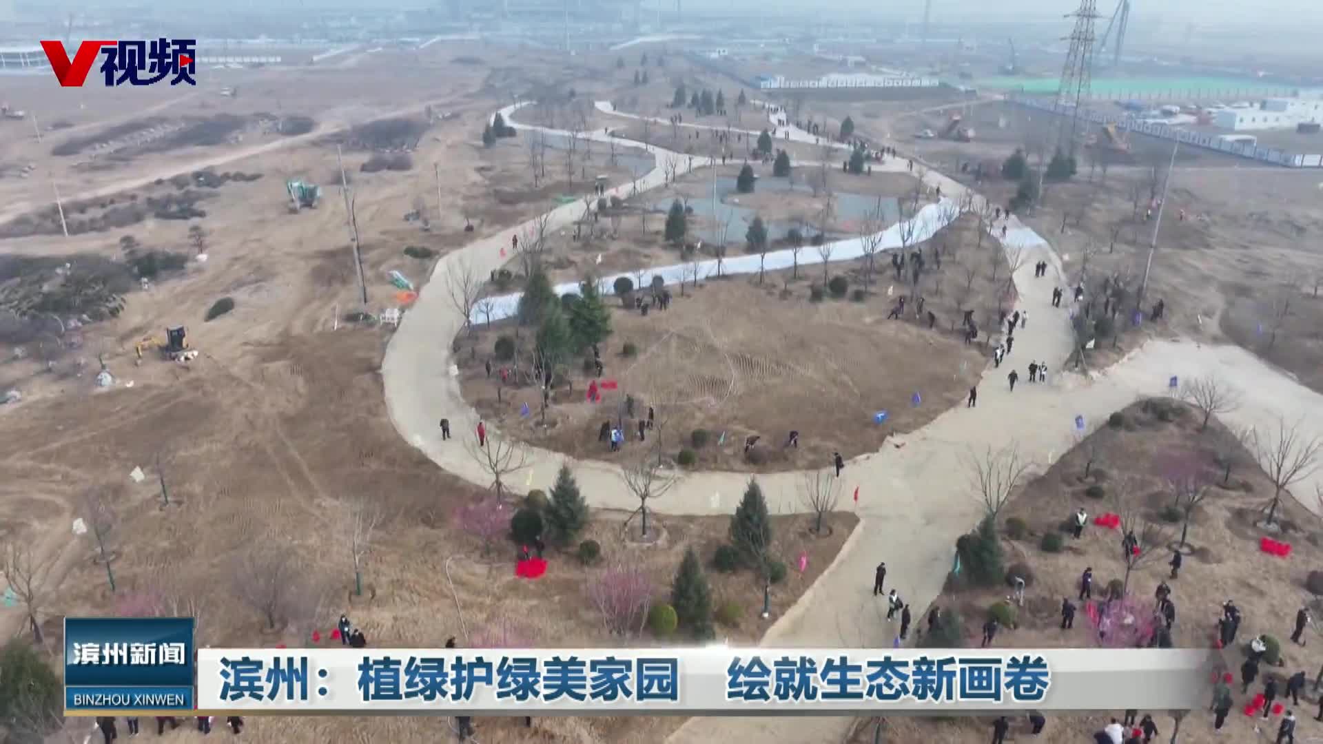 滨州：植绿护绿美家园　绘就生态新画卷