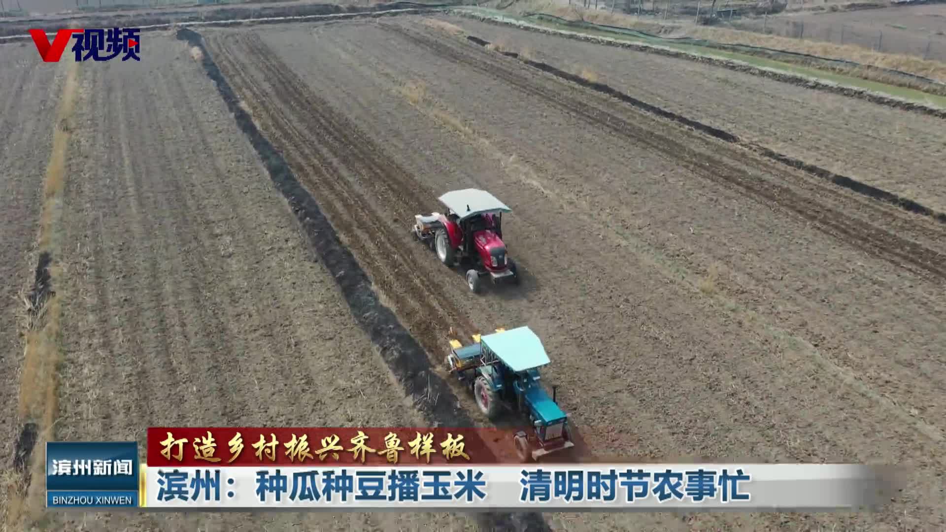 滨州：种瓜种豆播玉米  清明时节农事忙