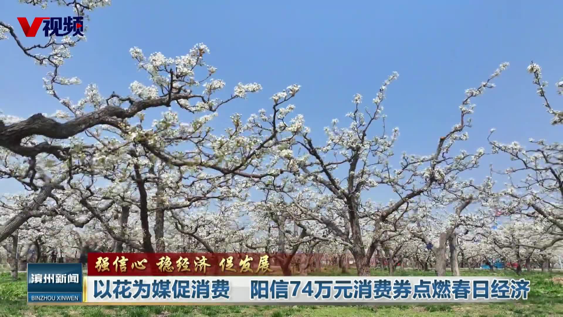 以花为媒促消费 阳信74万元消费券点燃春日经济