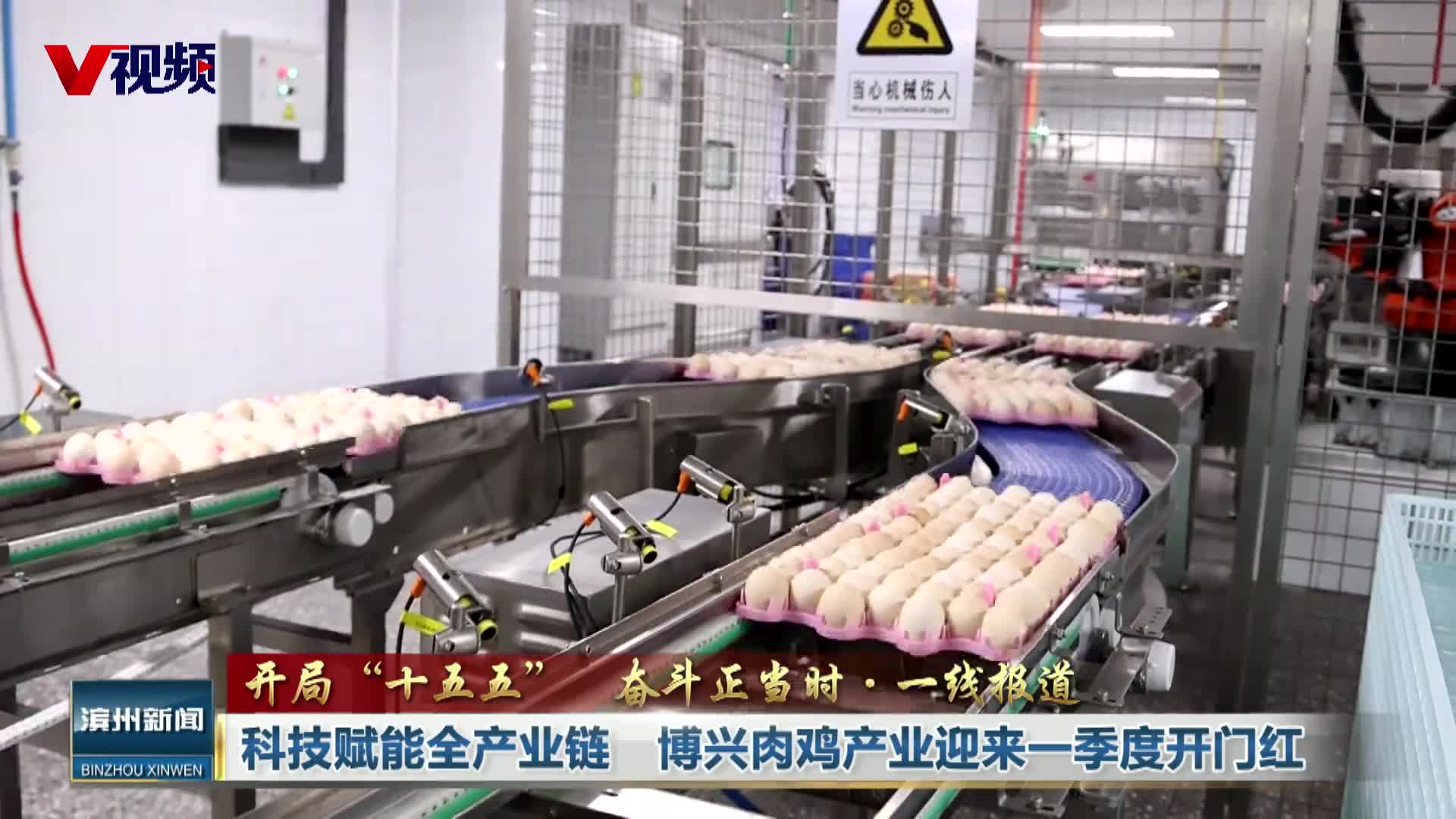 科技赋能全产业链  博兴肉鸡产业迎来一季度开门红